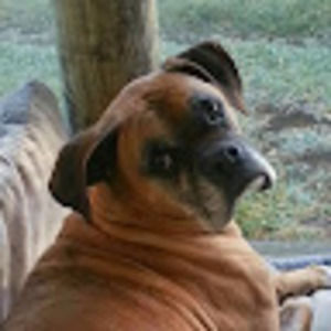 Meet your Posher, Tracy